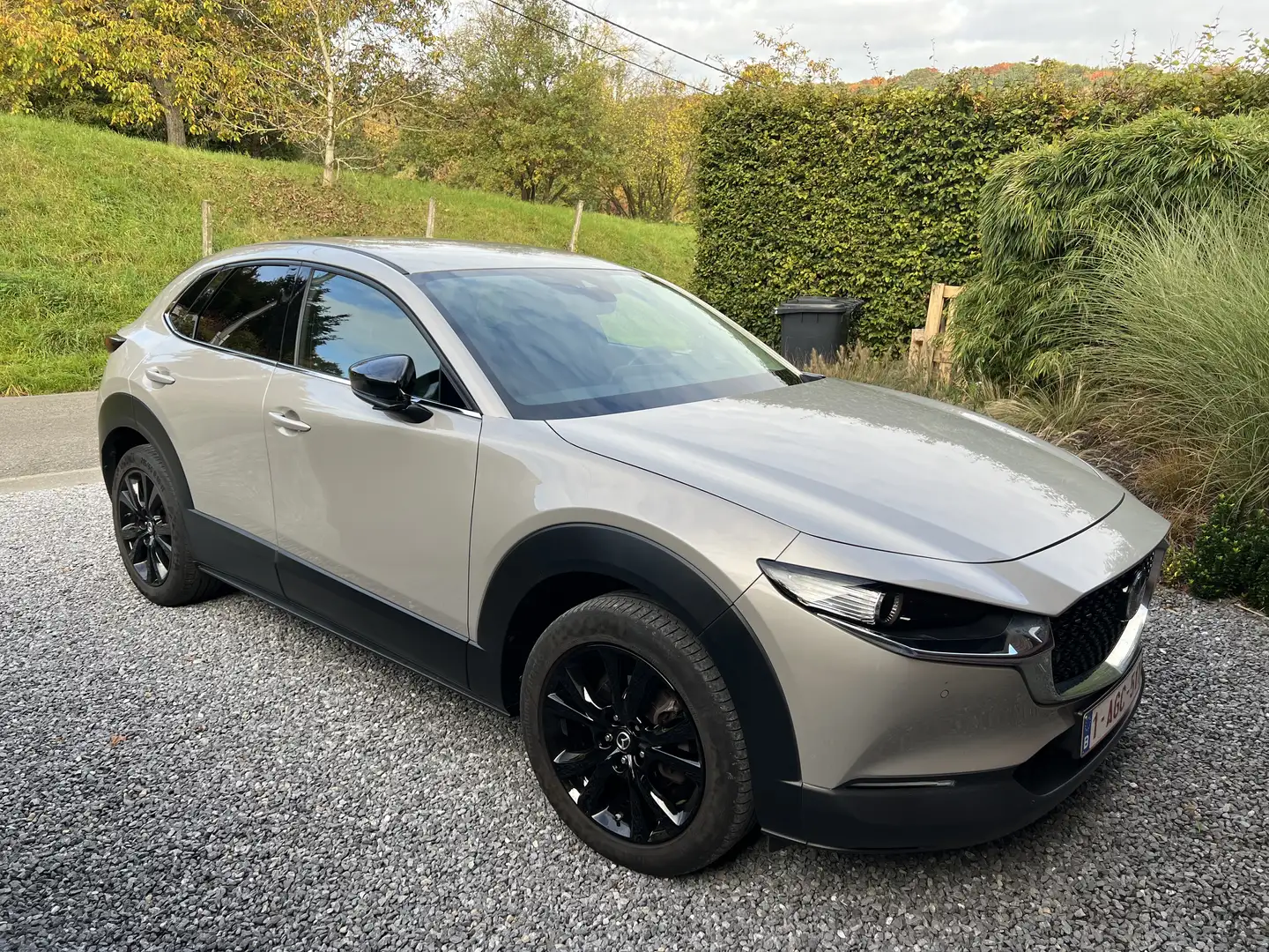 Mazda CX-30 2.0i SKYACTIV-G MHE Homura Bose cam360 att remor - 1