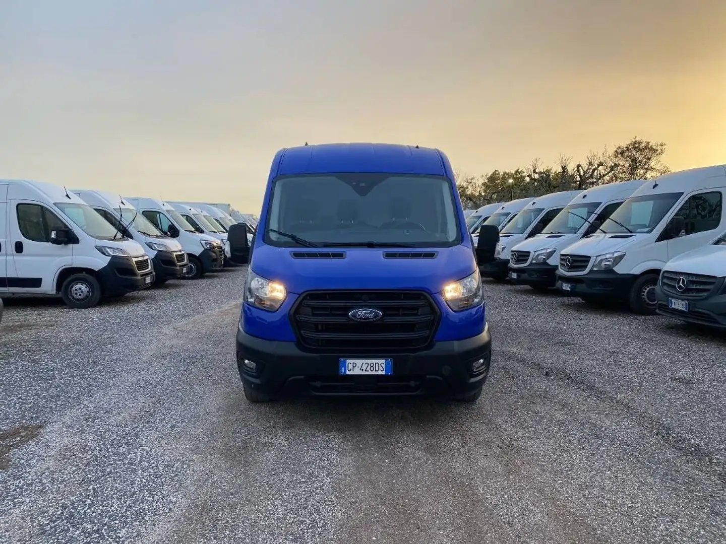 Ford Transit 290 2.0 tdci MHEV 130cv trend L2H2 E6.2 Bleu - 2