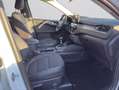 Ford Kuga 1.5 EcoBoost TITANIUM X 110 kW, 5-türig Bianco - thumbnail 10