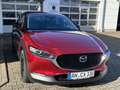 Mazda CX-30 2.5L e-SKYACTIV G 140 PS Homura Rot - thumbnail 10