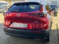 Mazda CX-30 2.5L e-SKYACTIV G 140 PS Homura Rot - thumbnail 8