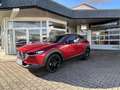 Mazda CX-30 2.5L e-SKYACTIV G 140 PS Homura Rot - thumbnail 13