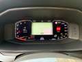 CUPRA Formentor 2.0 TDI 150 CV 4Drive DSG Gris - thumbnail 31