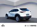 Mazda CX-30 2.0 SKYACTIV-X NAVI+LED+HEAD-UP+KAMERA Blanc - thumbnail 4