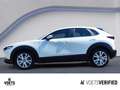 Mazda CX-30 2.0 SKYACTIV-X NAVI+LED+HEAD-UP+KAMERA Blanc - thumbnail 3