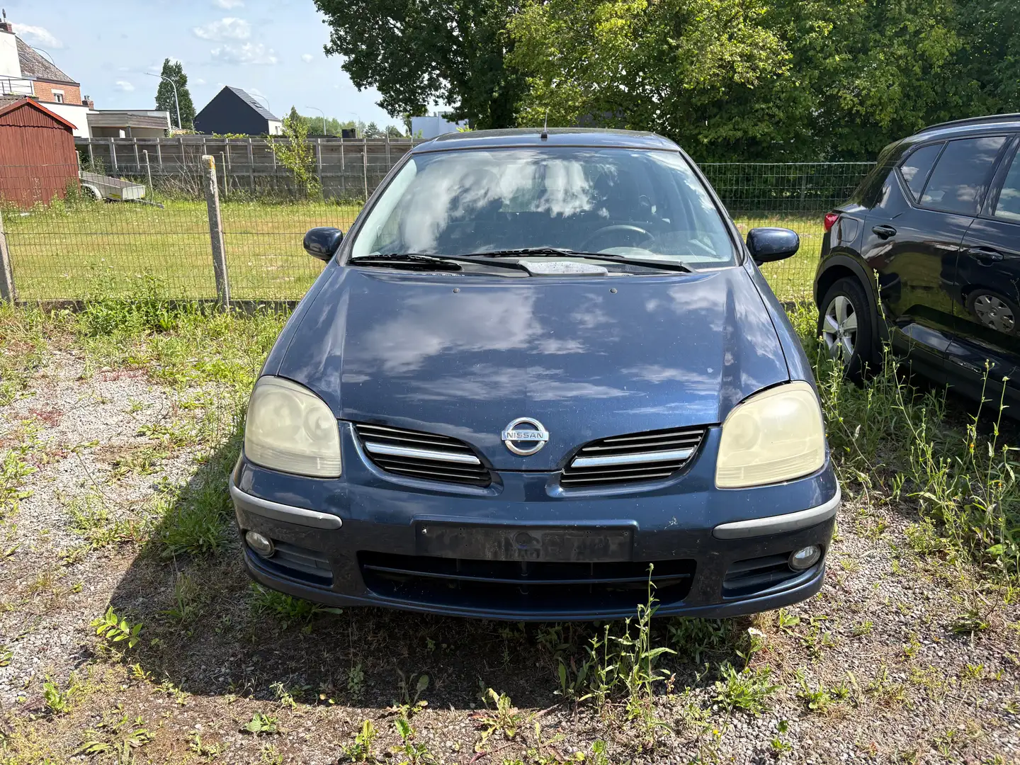 Nissan Almera Tino Almera Tino dCi acenta Kék - 2