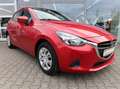 Mazda 2 SKYACTIV-G 75 *1. Damenhand*scheckheftgepflegt* Ce Rouge - thumbnail 3