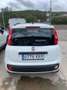 Fiat Panda 1.2 Lounge Blanc - thumbnail 4