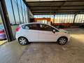 Ford Fiesta Trend LPG Autogas Bluetooth Klima Weiß - thumbnail 4