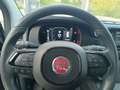 Fiat Panda Panda 1.0 hybrid 70 CV Schwarz - thumbnail 10