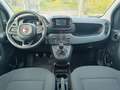 Fiat Panda Panda 1.0 hybrid 70 CV Schwarz - thumbnail 9