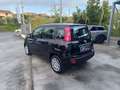 Fiat Panda Panda 1.0 hybrid 70 CV Schwarz - thumbnail 6