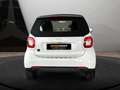 smart forTwo EQ 60kWed passion SHZ PDC Dig Radio Tempom Weiß - thumbnail 9
