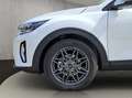 Kia Stonic STONIC 1.0T 100 48V DCT NIGHTL Weiß - thumbnail 20