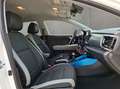 Kia Stonic STONIC 1.0T 100 48V DCT NIGHTL Weiß - thumbnail 17
