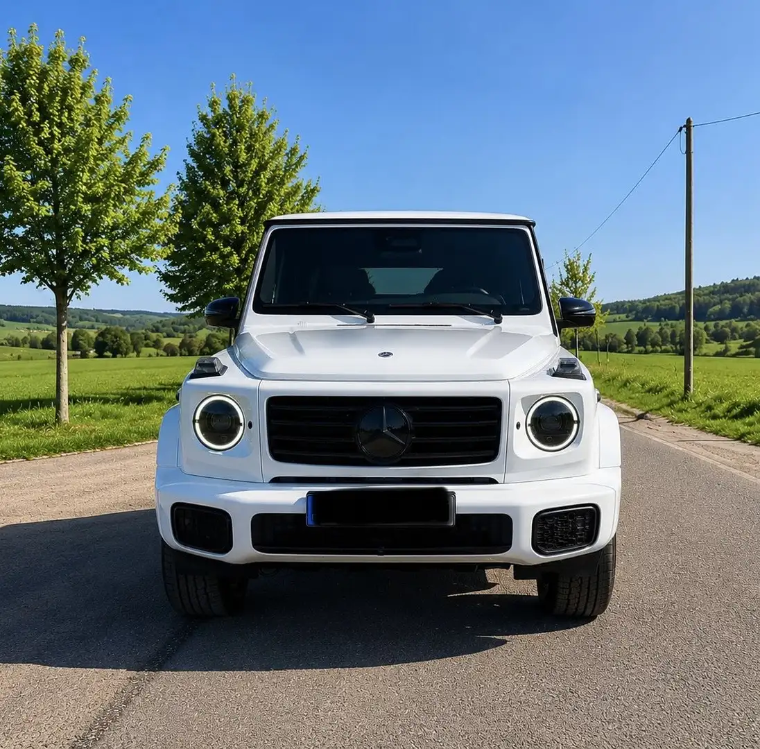 Mercedes-Benz G 450 Multibeam, Stdhz, AHK, Memory, Night - 2