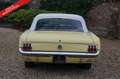 Ford Mustang PRICE REDUCTION! Convertible Fully restored and re Geel - thumbnail 46