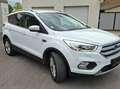 Ford Kuga Kuga 2,0 TDCi Titanium Powershift Aut. Titanium Weiß - thumbnail 5