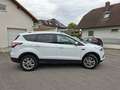 Ford Kuga Kuga 2,0 TDCi Titanium Powershift Aut. Titanium Weiß - thumbnail 4