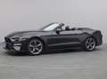Ford Mustang GT Cabrio V8 California Special/Magne Grigio - thumbnail 27