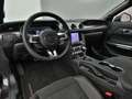 Ford Mustang GT Cabrio V8 California Special/Magne Grigio - thumbnail 10