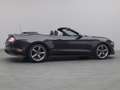 Ford Mustang GT Cabrio V8 California Special/Magne Grigio - thumbnail 45