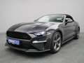 Ford Mustang GT Cabrio V8 California Special/Magne Grigio - thumbnail 23