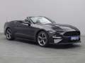 Ford Mustang GT Cabrio V8 California Special/Magne Grigio - thumbnail 5