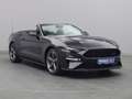 Ford Mustang GT Cabrio V8 California Special/Magne Grigio - thumbnail 24