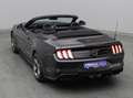 Ford Mustang GT Cabrio V8 California Special/Magne Grigio - thumbnail 43