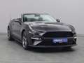 Ford Mustang GT Cabrio V8 California Special/Magne Grigio - thumbnail 36