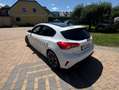 Ford Focus Focus 1,5 EcoBoost ST-Line Business Aut. ST-Line Business Weiß - thumbnail 4