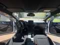 Ford Focus Focus 1,5 EcoBoost ST-Line Business Aut. ST-Line Business Weiß - thumbnail 12