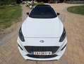 Ford Focus Focus 1,5 EcoBoost ST-Line Business Aut. ST-Line Business Weiß - thumbnail 7