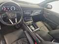 Audi SQ8 4.0 TFSI quattro competition plus Schwarz - thumbnail 18