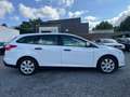Ford Focus Kombi 1.0l *TÜV/ASU NEU* Blanc - thumbnail 8