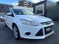 Ford Focus Kombi 1.0l *TÜV/ASU NEU* Blanc - thumbnail 9