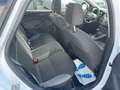 Ford Focus Kombi 1.0l *TÜV/ASU NEU* Blanc - thumbnail 13