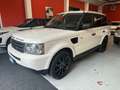 Land Rover Range Rover Sport 2.7 tdV6 HSE auto Bianco - thumbnail 1