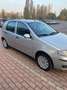 Fiat Punto 5p 1.2 Active Gpl - thumbnail 4