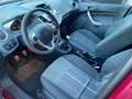 Ford Fiesta VI 2010 5p 1.4 Diesel Manuale tdci Titanium Rosso - thumbnail 9