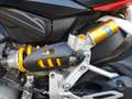 Ducati Rouge - thumbnail 7