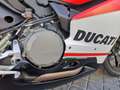 Ducati Rouge - thumbnail 4
