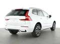 Volvo XC60 B5 AWD Benzin Plus Dark Aut./Panorama/360° Weiß - thumbnail 2