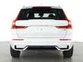 Volvo XC60 B5 AWD Benzin Plus Dark Aut./Panorama/360° Weiß - thumbnail 3