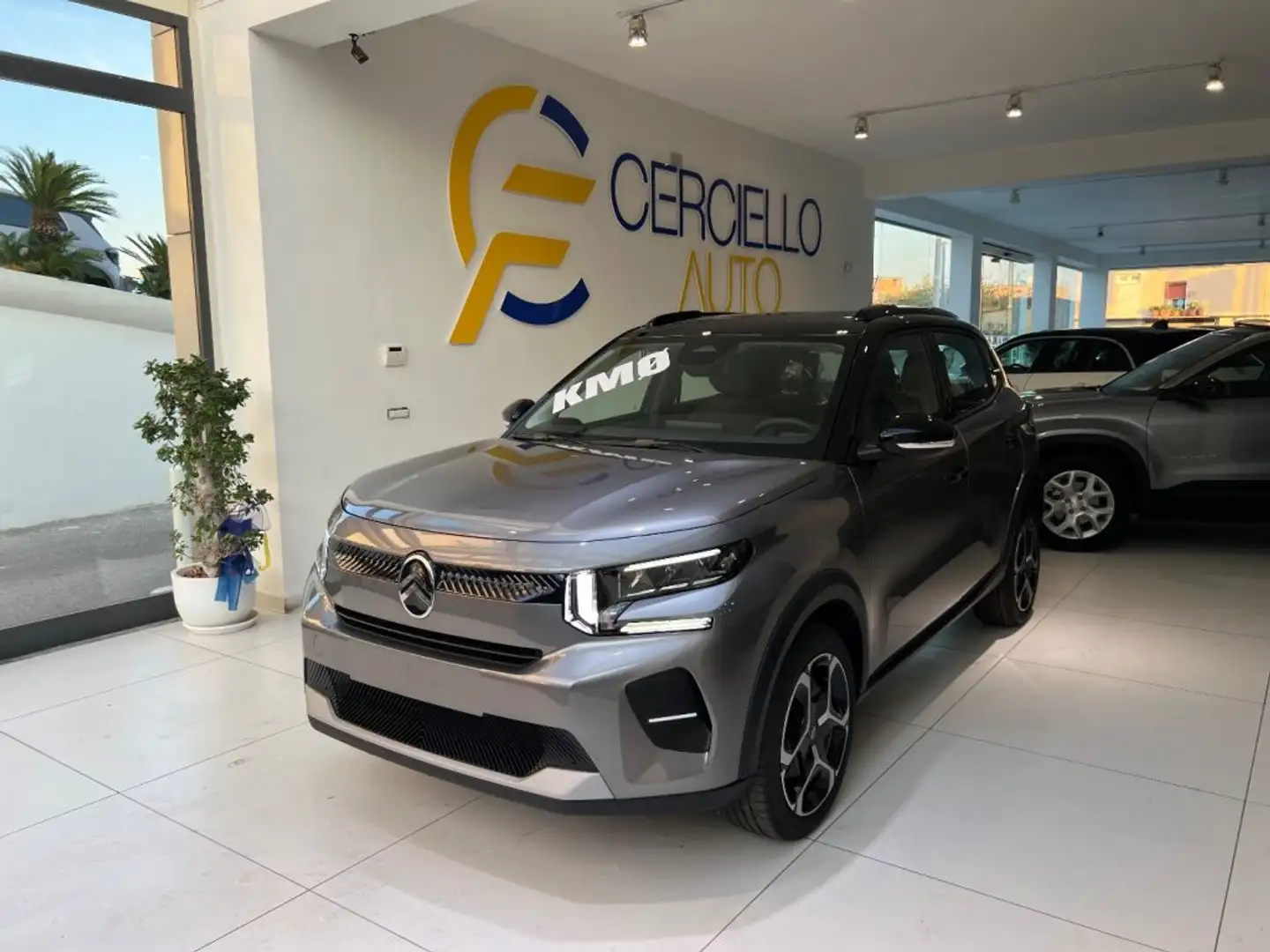 Citroen C3 Hybrid 110 e-DCS6 Plus da €€229,00 mensili Gris - 2