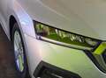 Skoda Octavia 1.5 g-tec Executive 130cv dsg Grijs - thumbnail 16