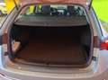 Skoda Octavia 1.5 g-tec Executive 130cv dsg Grijs - thumbnail 14