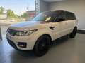 Land Rover Range Rover Sport 3.0 tdV6 SE auto - thumbnail 5
