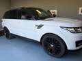 Land Rover Range Rover Sport 3.0 tdV6 SE auto - thumbnail 3